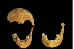 8500 year old skeletons found in israel