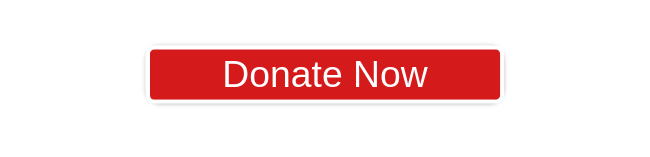 Donate Now button