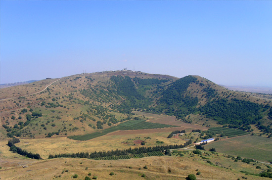 avital