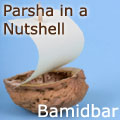 bamidbar