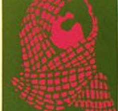 columbia u palestine studies