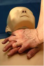 cpr lorraine bayless