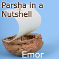emor parsha
