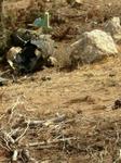 iran remains of drone