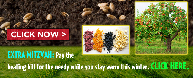 Click now > Extra Mitzvah: Pay the hearing bill for the needy while  you stay warm this winter. Click here.