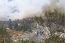 motza fire