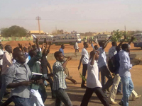sudan spring