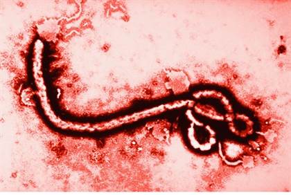 ebola rooms in airports