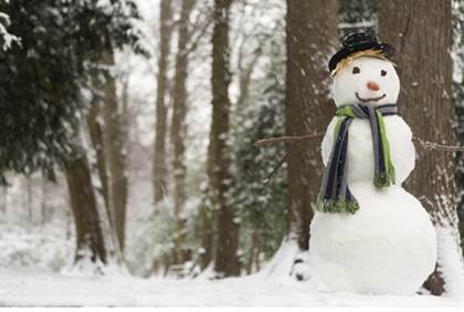snowman in saudi arabia banned by muslim scholar