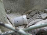 chemical attack coming from syria?