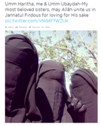 jihadi domesticity